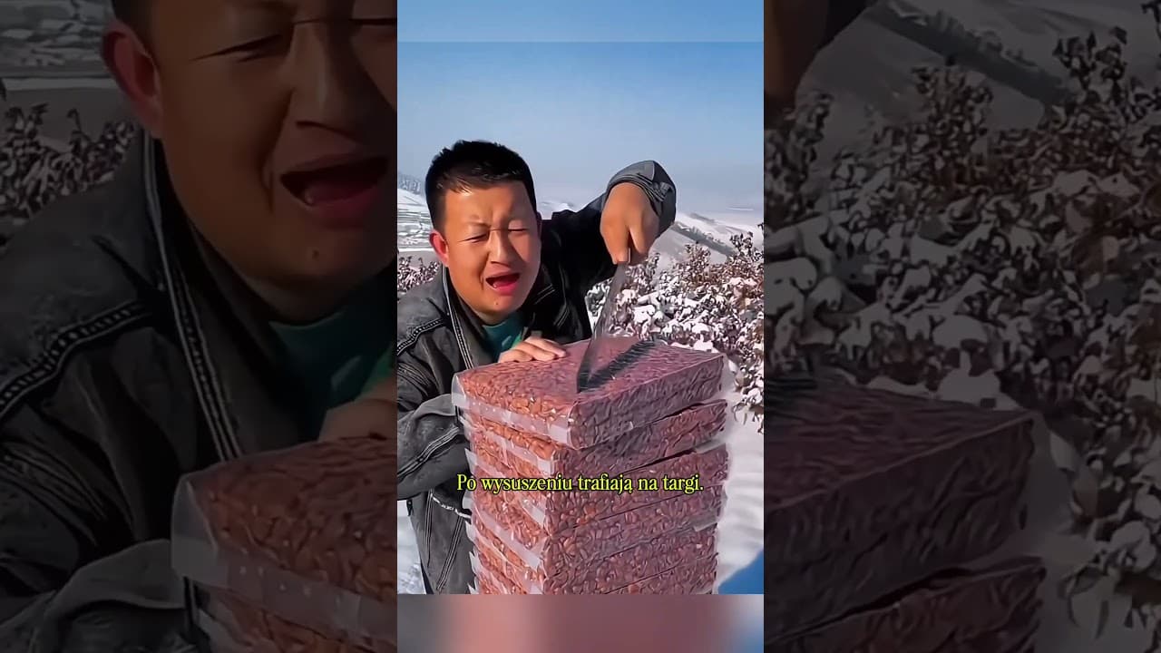 Dzika pistacja z gór Azji